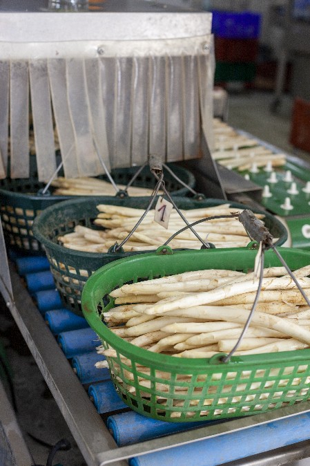 Foto:Schweinfurt360°, B.Nägle Foto: Schweinfurt360°, B.Nägle